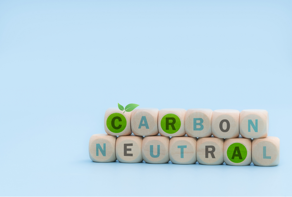ASFI_SASFI_Harnessing voluntary carbon markets